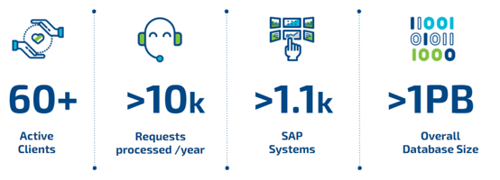 techedge SAP basis managed services - facts